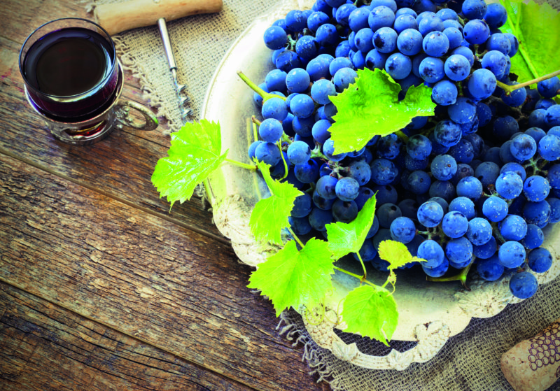 Bourgogne-Franche-Comté: the tastiest snails and the world’s best wines