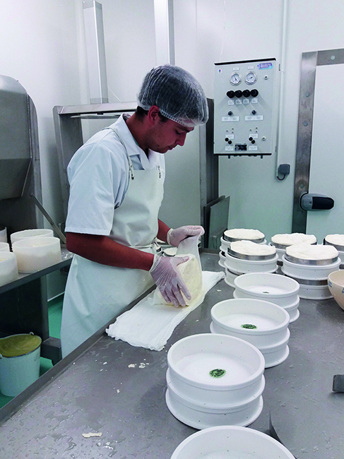 Discover Saint-Nectaire's secrets on the Route des Fromages.