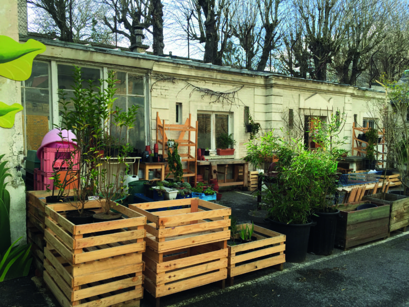 Inside Paris’s secret plant nursery