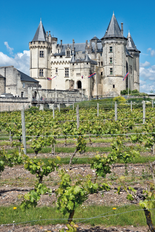 Vineyards abound in the Pays de la Loire.