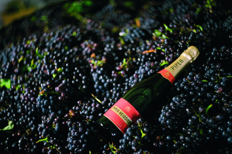 Nectar of the stars: behind the scenes at Champagne Piper-Heidsieck