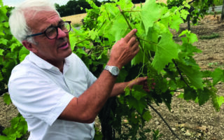 Pioneer of organic cognac: inside the Distillerie du Peyrat