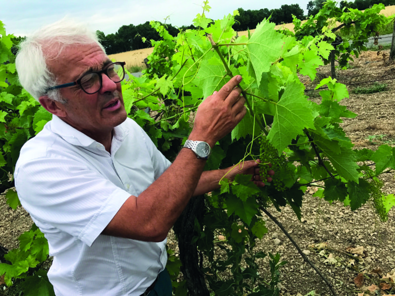 Pioneer of organic cognac: inside the Distillerie du Peyrat