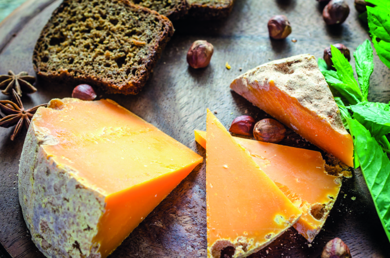 Mimolette: cheese with a mity secret