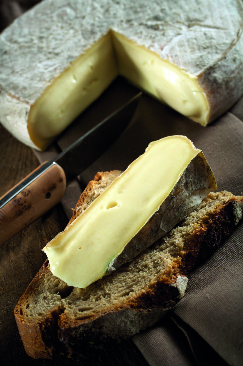 Cow zenitude: the secret behind velvety Saint-Nectaire