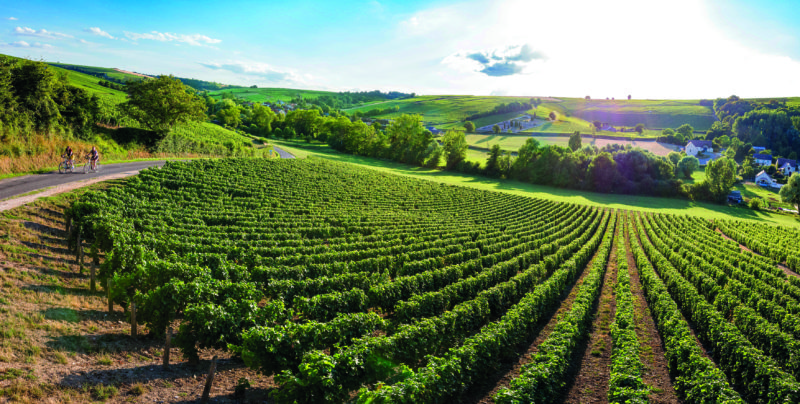 Taste test: Sancerre