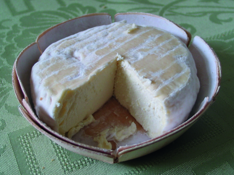 Cheese wire… Saint-Marcellin