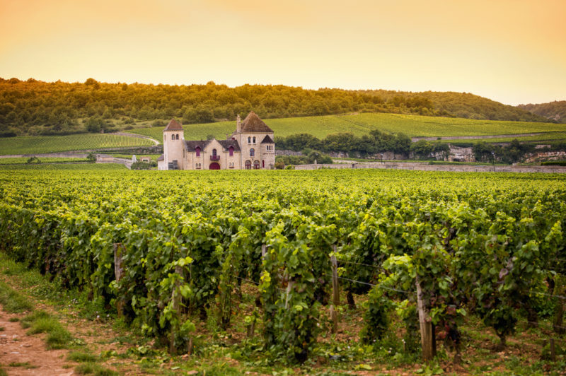 Taste test: wines of Burgundy