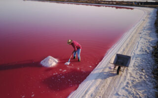 The best Camargue sea salt is available to buy in the UK