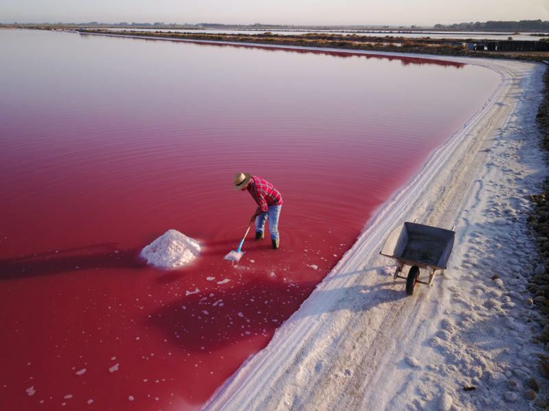 The best Camargue sea salt is available to buy in the UK