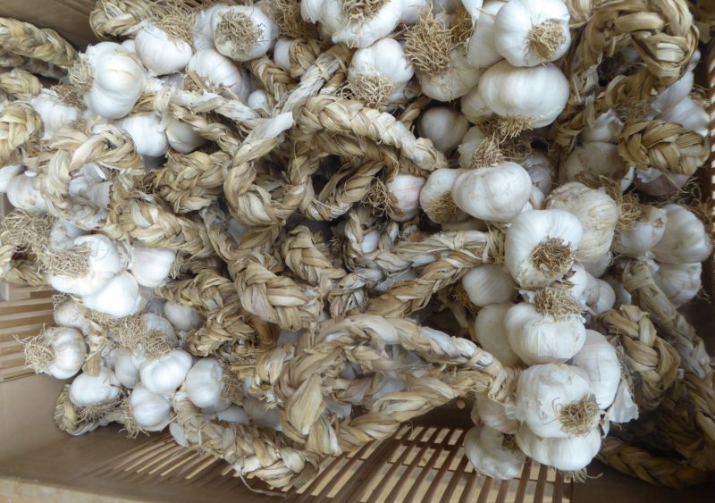 Don’t miss… garlic weaving in Arleux
