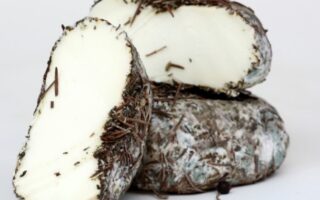 The sweet scent of Corsican ewe’s cheese
