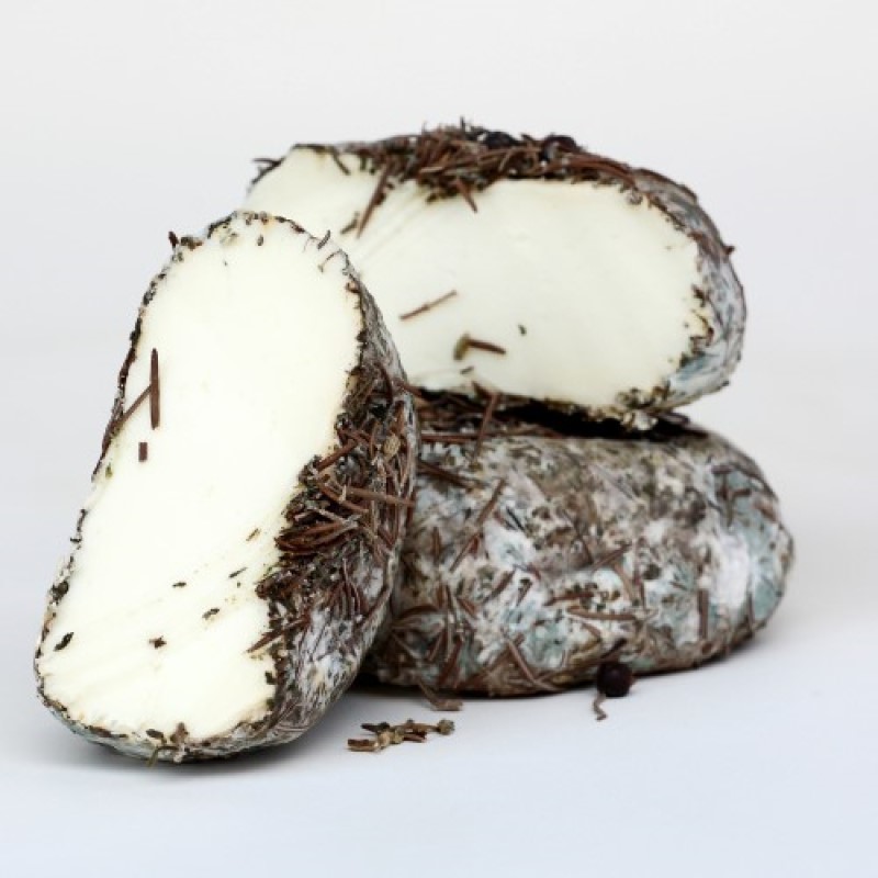 The sweet scent of Corsican ewe’s cheese