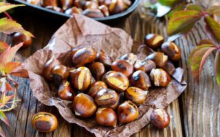 A potted history of the Ardèche chestnut