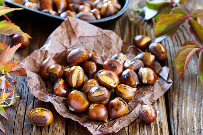 A potted history of the Ardèche chestnut