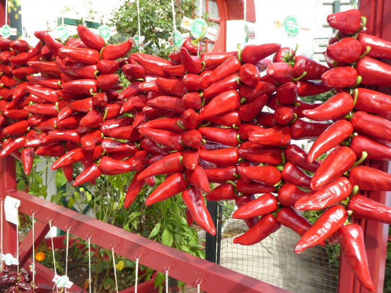Don’t miss the Espelette Pepper Festival 2019