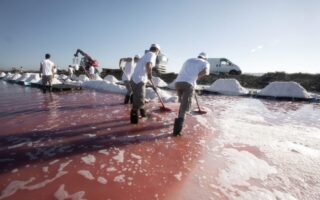 Aigues-Mortes salt marshes – an environmental wonder