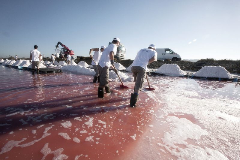 Aigues-Mortes salt marshes – an environmental wonder