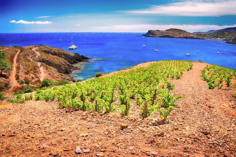The Pyrénées, from Collioure all the way to the Pays Basque…