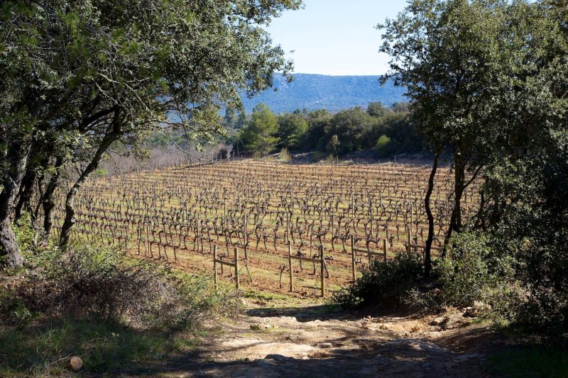 Wine of the month… Château Revelette