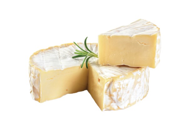 camembert