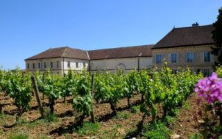 Win a one day bike & wine tour in Côte de Beaune worth €139
