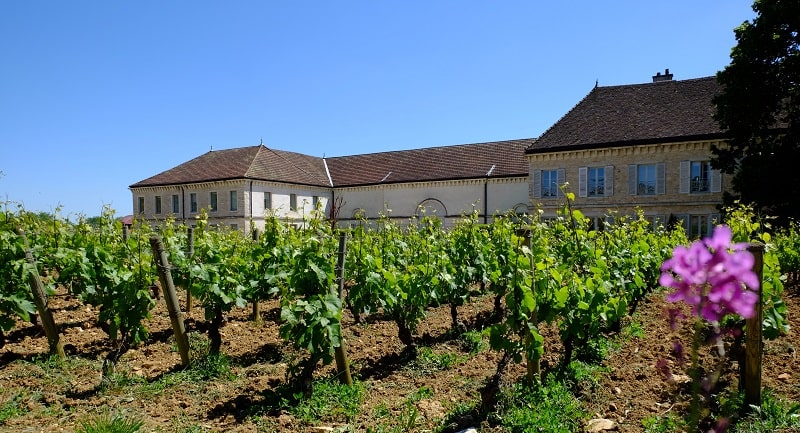 Win a one day bike & wine tour in Côte de Beaune worth €139