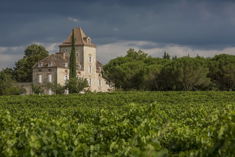 Black truffles experience