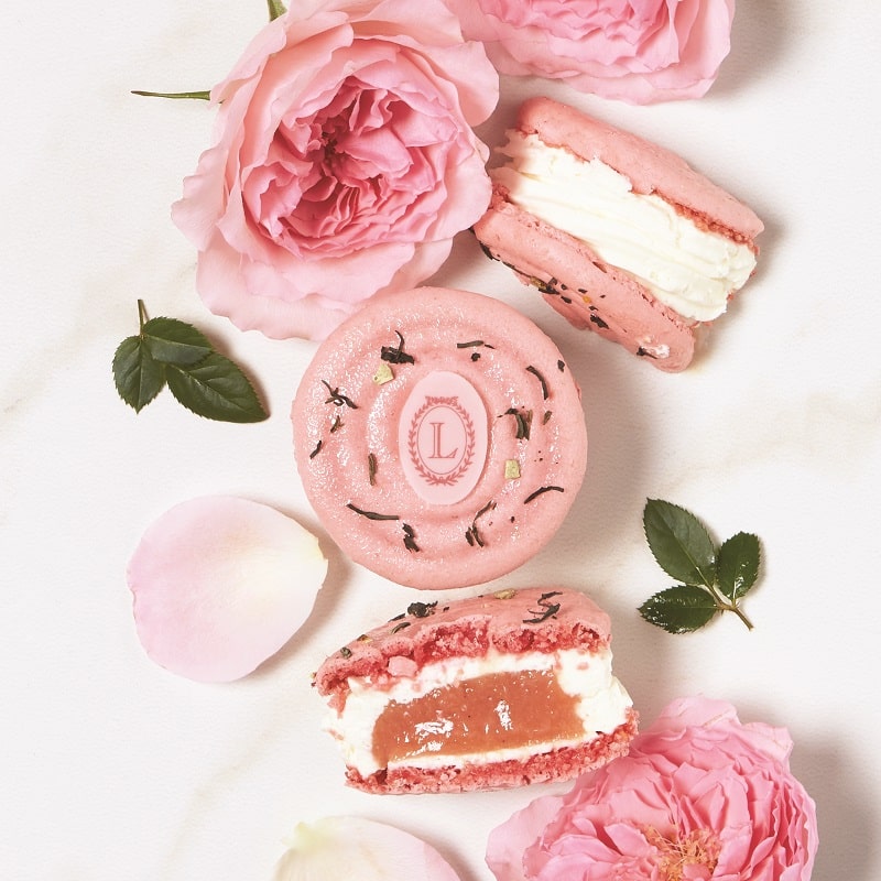 A potted history of macarons
