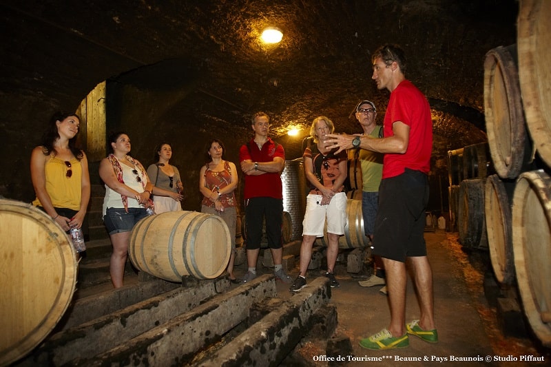 Wine tours in the cellar from local winemaker