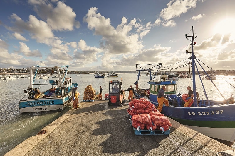 Brittany fishing port