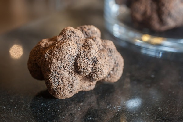 Black Truffles