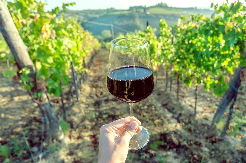 Dry January in France