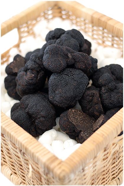 Win a French truffle tree package worth £350