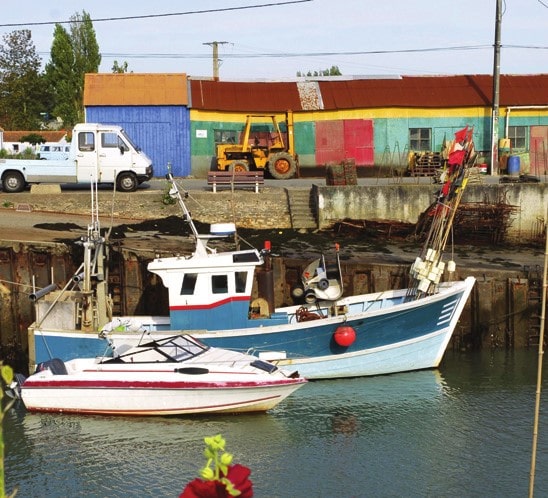 boats