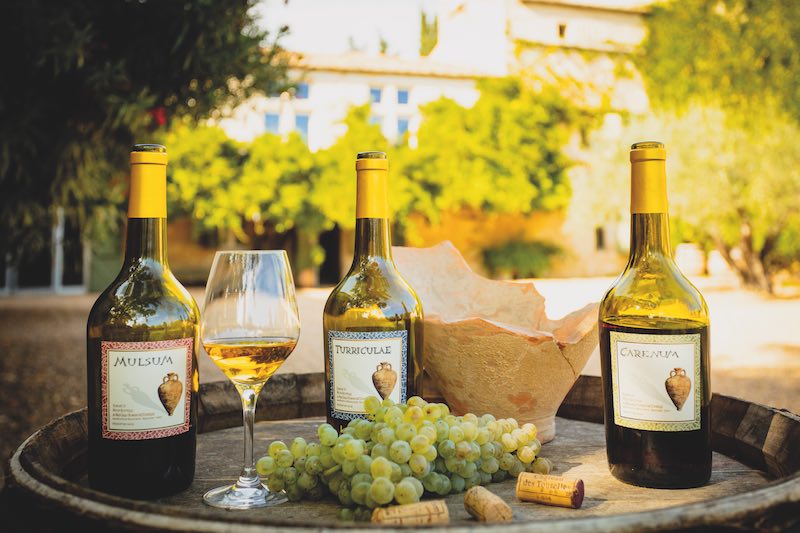 Wine made from the monks vineyards
