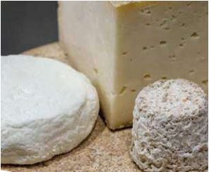 A selection of cheeses