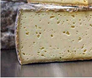 A slice of hard cheese