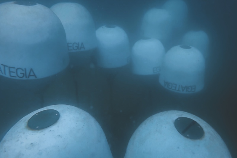 Wines protected in the capsules underwater