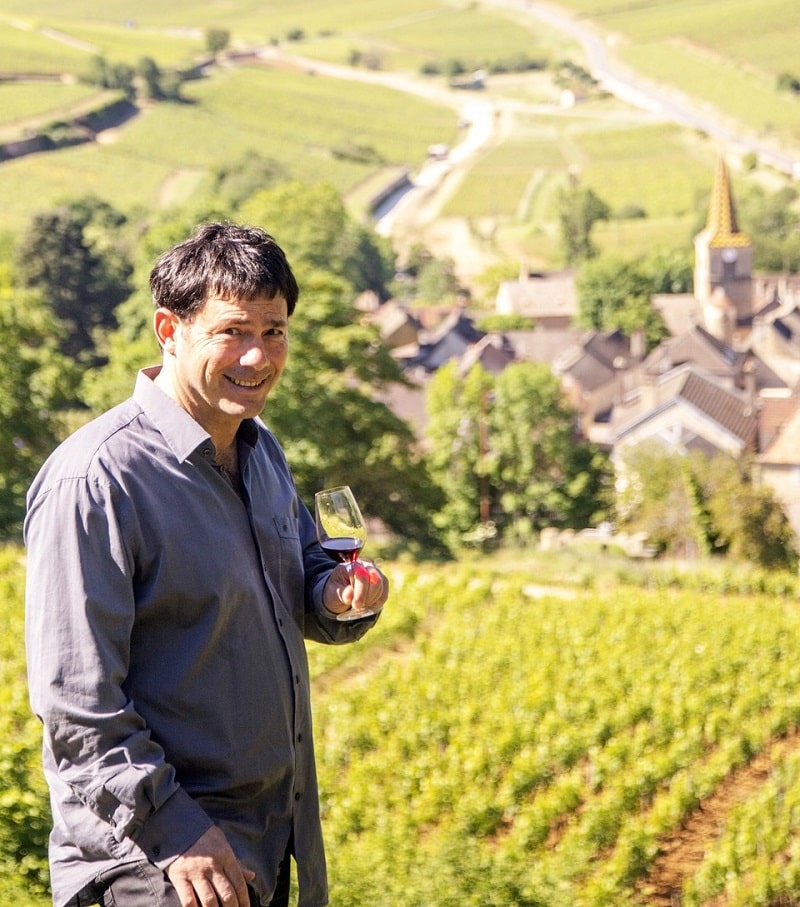 How to enjoy Burgundy wine