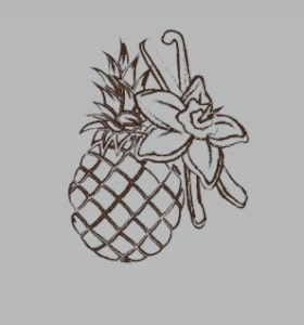 Pineapple drawing