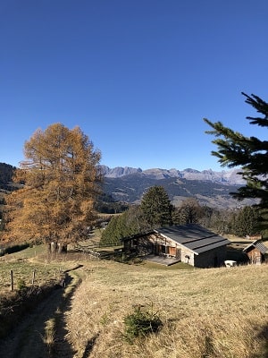 Alpine dining exterior