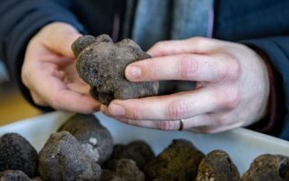 Five of the best foodie museums in France