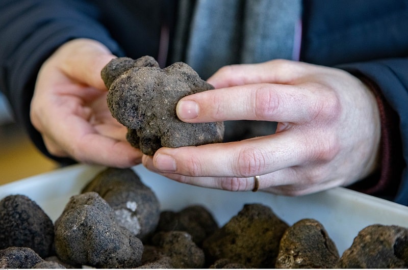 Five of the best foodie museums in France