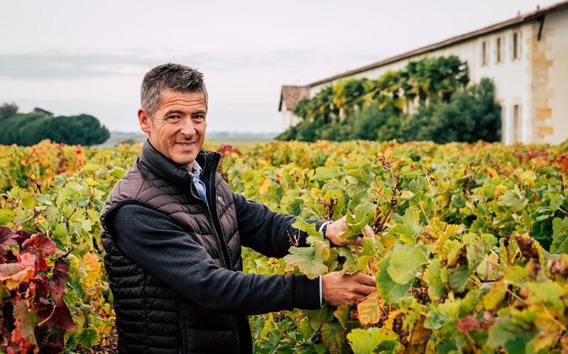 Treat yourself to your very own vineyard (well, a bit of one!)