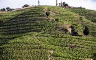 Terroir… what is it exactly?