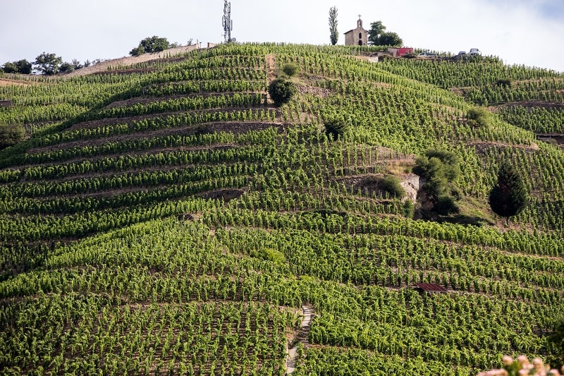Terroir… what is it exactly?