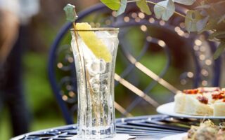 St-Germain spritz
