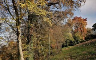 Taste test: Baron de Sigognac 10-year-old Armagnac