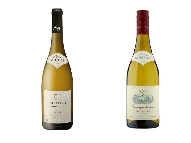 Laurent Miquel Albarino and Laurent Miquel Vendanges Nocturnes